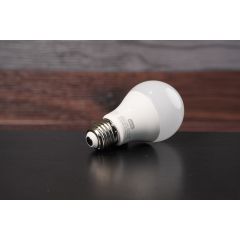 Genie LED Bulb